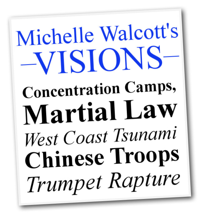 Michelle-Walcotts-Visions