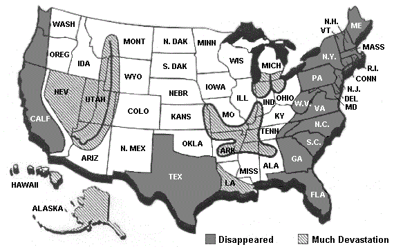 Safe Zones In America – Andrew Strom – Why God